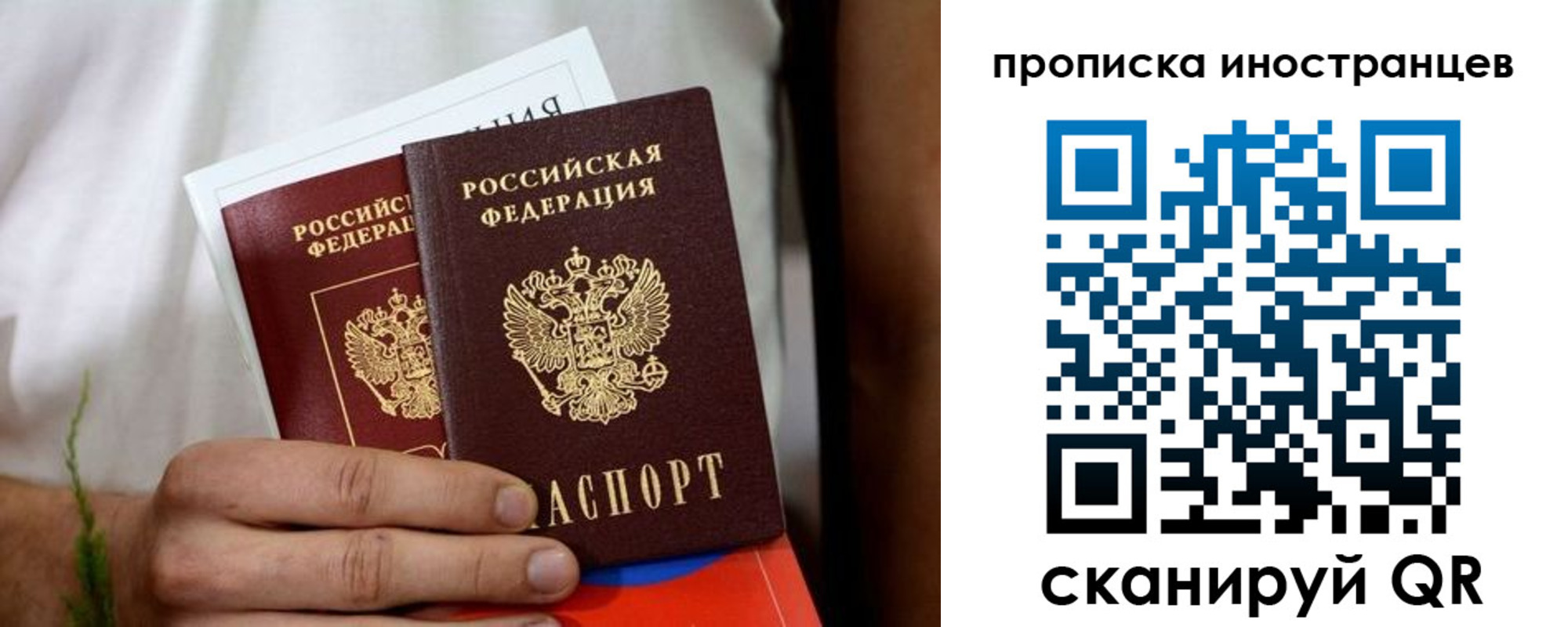 найти адрес прописки в Вязьме